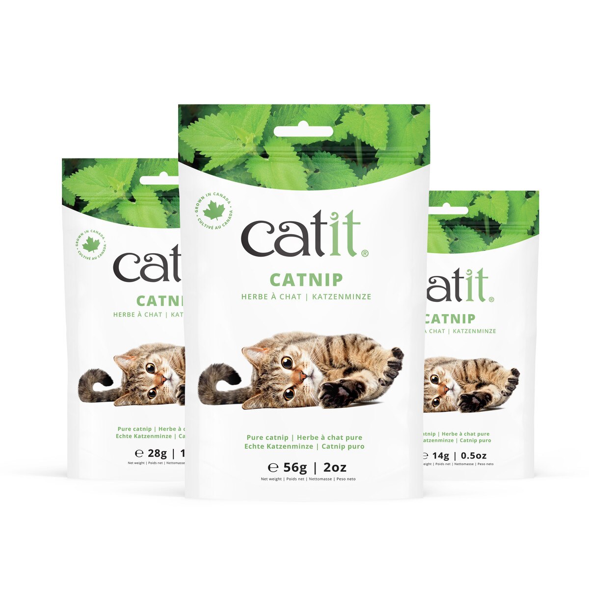 Catit Cat Catnip - 28g_1